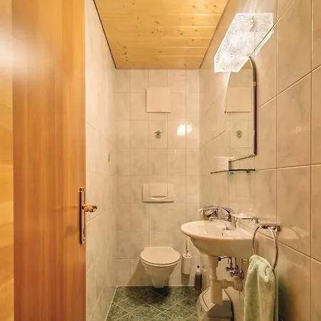 Apartment Chasa Vallaina *